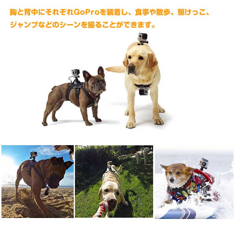 楽天市場 Sale 犬用チェストマウントハーネチェストマウントハーネス Gopro Fusion Gopro Sjcamシリーズ用 ドッグハーネス Goproアクセサリー ウェアラブル 愛犬の胸や背中にカメラを装着 ペット目線の動画撮影に 動物 犬 背中 カメラ 固定 送料無料 E Top