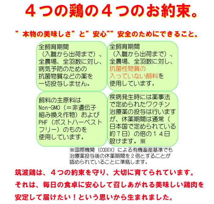 焼き鳥国産つくば鶏砂肝串!40g×20本コリコリした食感がたまらないつくば鶏を使った砂肝の焼き鳥!バーベキューBBQに最適【茨城県産】【焼き鳥焼鳥やきとり】