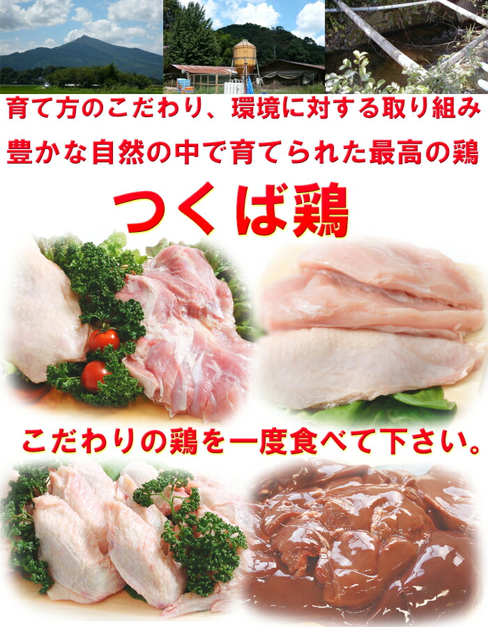 焼き鳥国産つくば鶏砂肝串!40g×20本コリコリした食感がたまらないつくば鶏を使った砂肝の焼き鳥!バーベキューBBQに最適【茨城県産】【焼き鳥焼鳥やきとり】