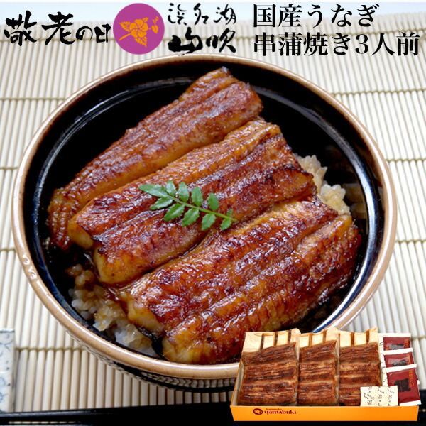 敬老の日 うなぎ 浜名湖山吹 国産 送料無料 うなぎ蒲焼き3串 ギフト Educaps Com Br