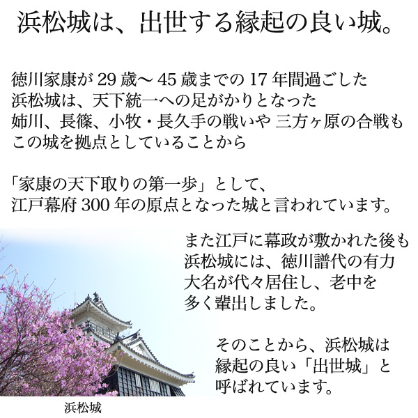 楽天市場 名入れ 酒 浜松酒造 出世城 純米酒 7ｍｌ O 浜松の お酒 日本酒 プレゼントや贈り物 ギフトにも 名入り 名前入れ 7ml 熱燗 冷酒 うなぎ専門店 浜名湖山吹 O うなぎ専門店 浜名湖山吹