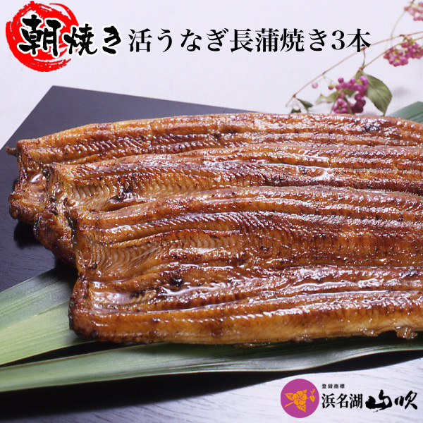 朝焼きうなぎ【うなぎ専門店 浜名湖山吹】活うなぎ長蒲焼き 115ｇサイズ3本　（朝じめうなぎ・朝開きうなぎ）<br /><br />