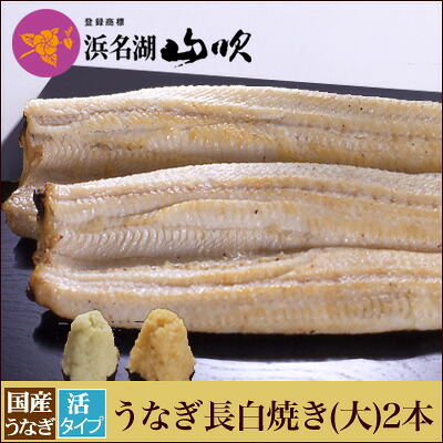 朝焼きうなぎ【うなぎ専門店 浜名湖山吹】活うなぎ長白焼き 【大】125ｇサイズ2本 S140-2 о_老舗デパ地下鰻屋の国内産の、うなぎ。お祝い ギフト 贈り物 などに最適！食品 朝じめ 朝焼き【ウナギ、鰻、国産】