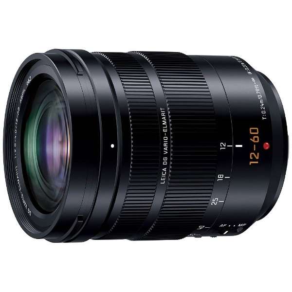 パナソニック H-ES12060 交換用レンズ LEICA DG VARIO-ELMARIT 12-60mm F2.8-4.0 ASPH. POWER O.I.S. HES12060