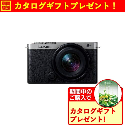 【期間限定ギフトプレゼント】パナソニック DC-S9N-S S9 広角ズームレンズキット ミラーレス一眼カメラ LUMIX ダークシルバー｜イーウェルネス店