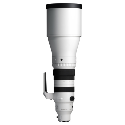 シグマ 300-600mm F4 DG OS (S) L 交換用レンズ Sports Lマウント用|イーウェルネス店
