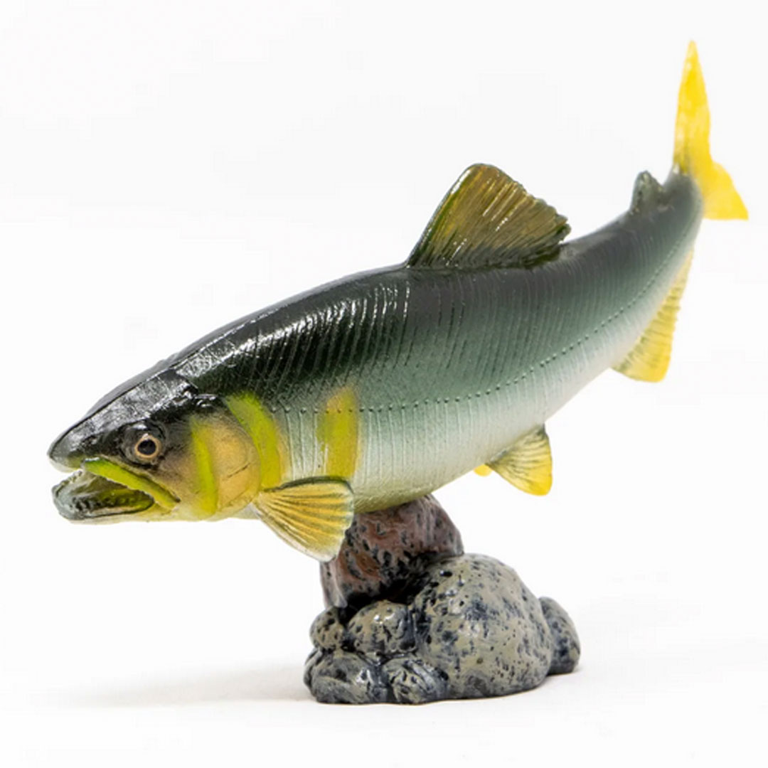フェバリット社favorite マダイ　シーバス　アユ　魚リアル　フィギュア フェバリット社favorite マダイ シーバス アユ 魚リアル