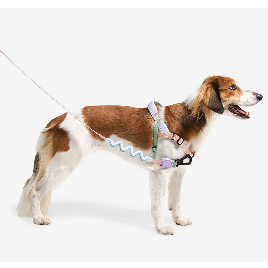 【楽天市場】zee.dog ジードッグ SOFTERWALK HARNESS/ソフターウォークハーネス PEACH(ピーチ) サイズL