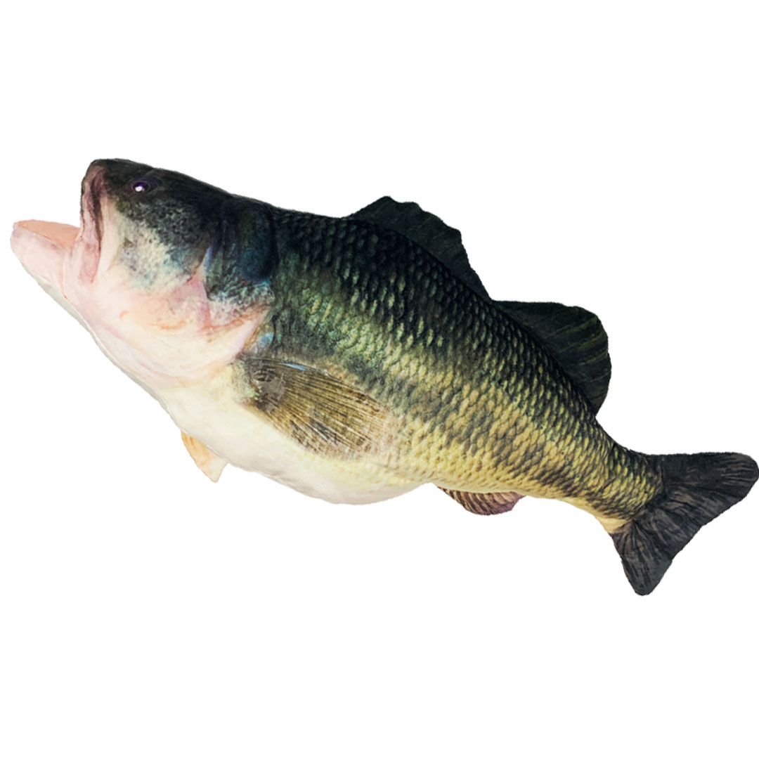 楽天市場】【アウトレット】歌うブラックバス 2曲入り センサー