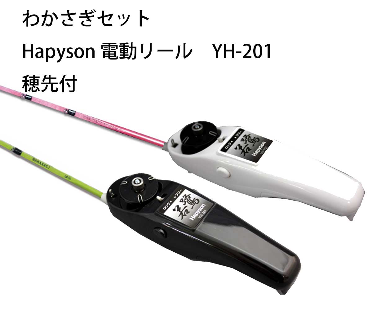 楽天市場】わかさぎセット 極技ワカサギ替え穂先 30cm HAPYSON 電動