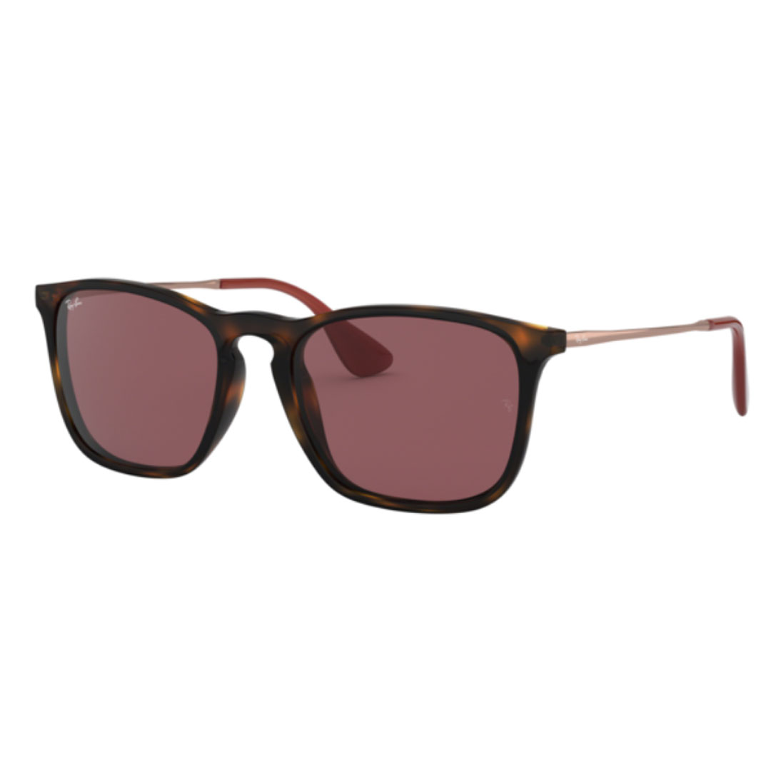 お1人様1点限り 楽天市場 レイバン Ray Ban Chris クリス Rb4187f Dark Violet サイズ54 サングラス あす楽 送料無料 沖縄除く ポイント倍 4月末まで ウエストコースト アウトドアshop 好評 Direct Axis Net