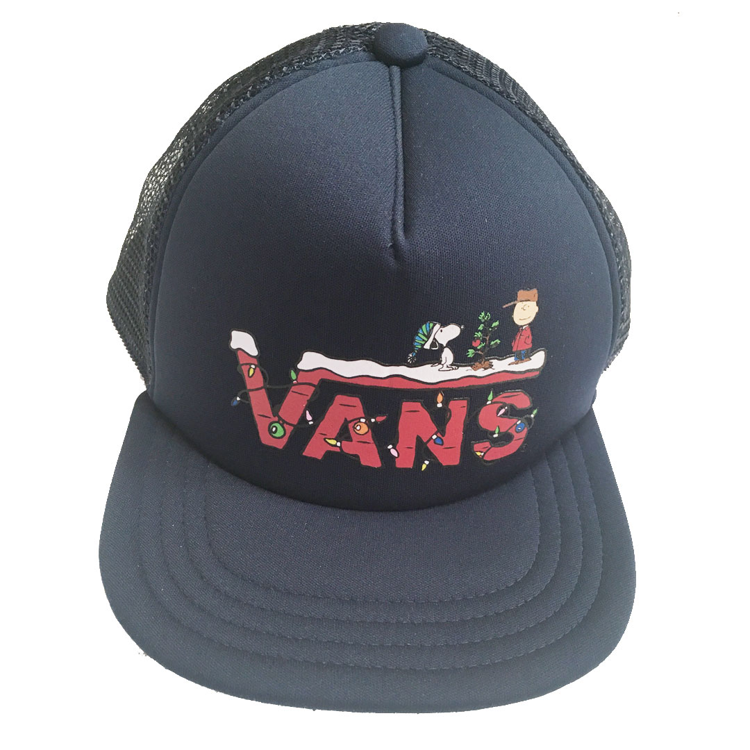 youth vans hat
