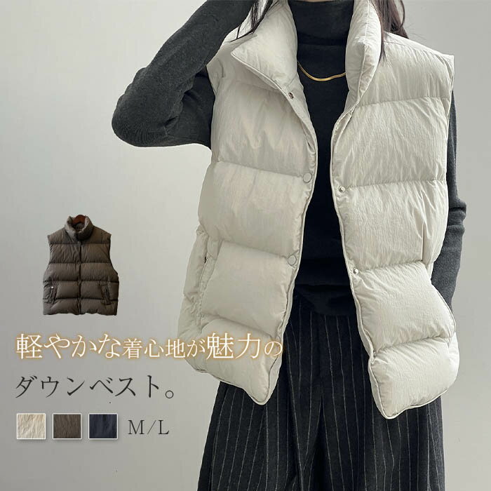 ダウンベスト レディース 秋冬 中綿ベスト 秋 冬 きれいめ 前開き スタンドカラー 中綿 厚手 暖かい ベスト ゆったり アウター トップス ノースリーブ シンプル 無地 カジュアル レイヤード 重ね着 定番 あったか 防寒 黒 ブラック オフホワイト 軽い 大人 上品 送料無料
