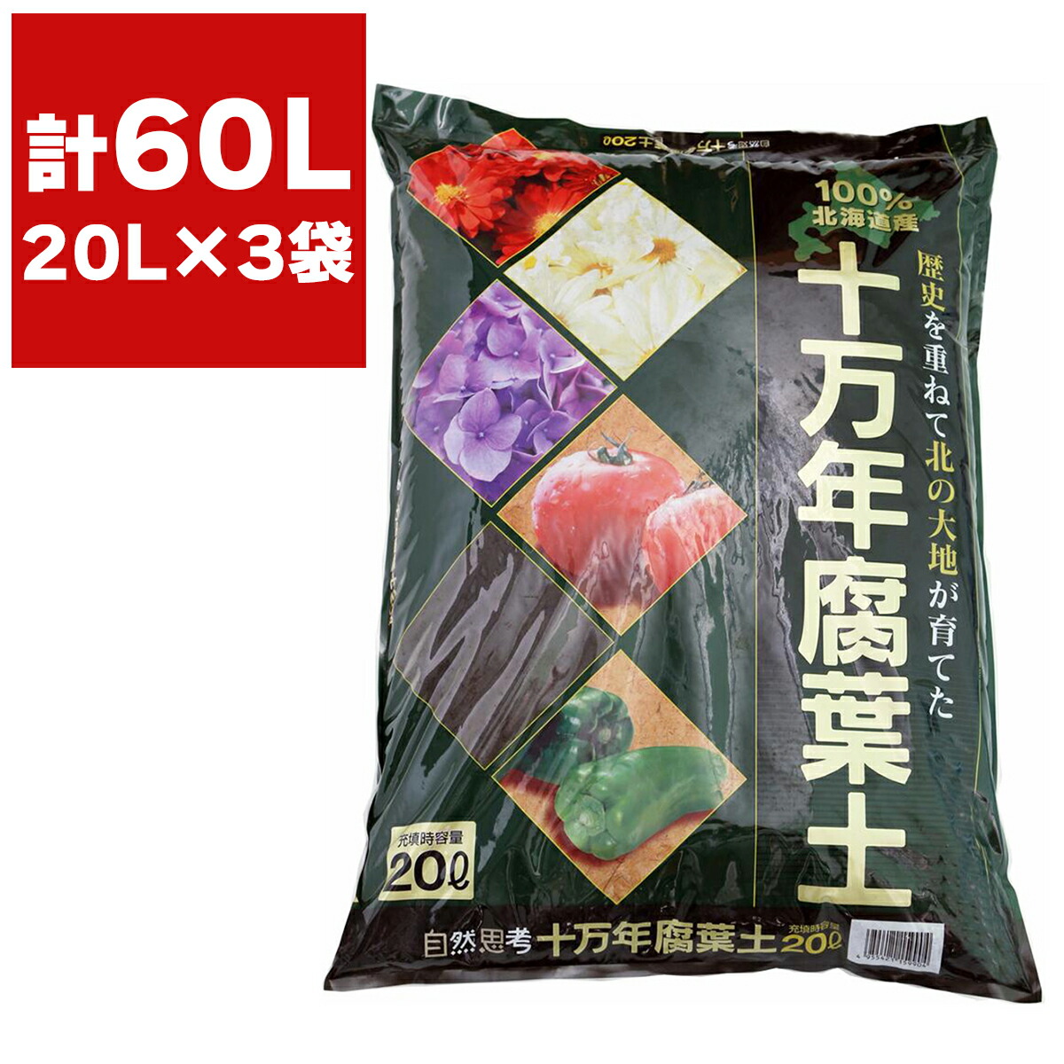 ★未使用　旭天竜　緑4m ☆未使用 旭天竜 緑4m 楽天市場】鯉のぼり 旭天龍の通販