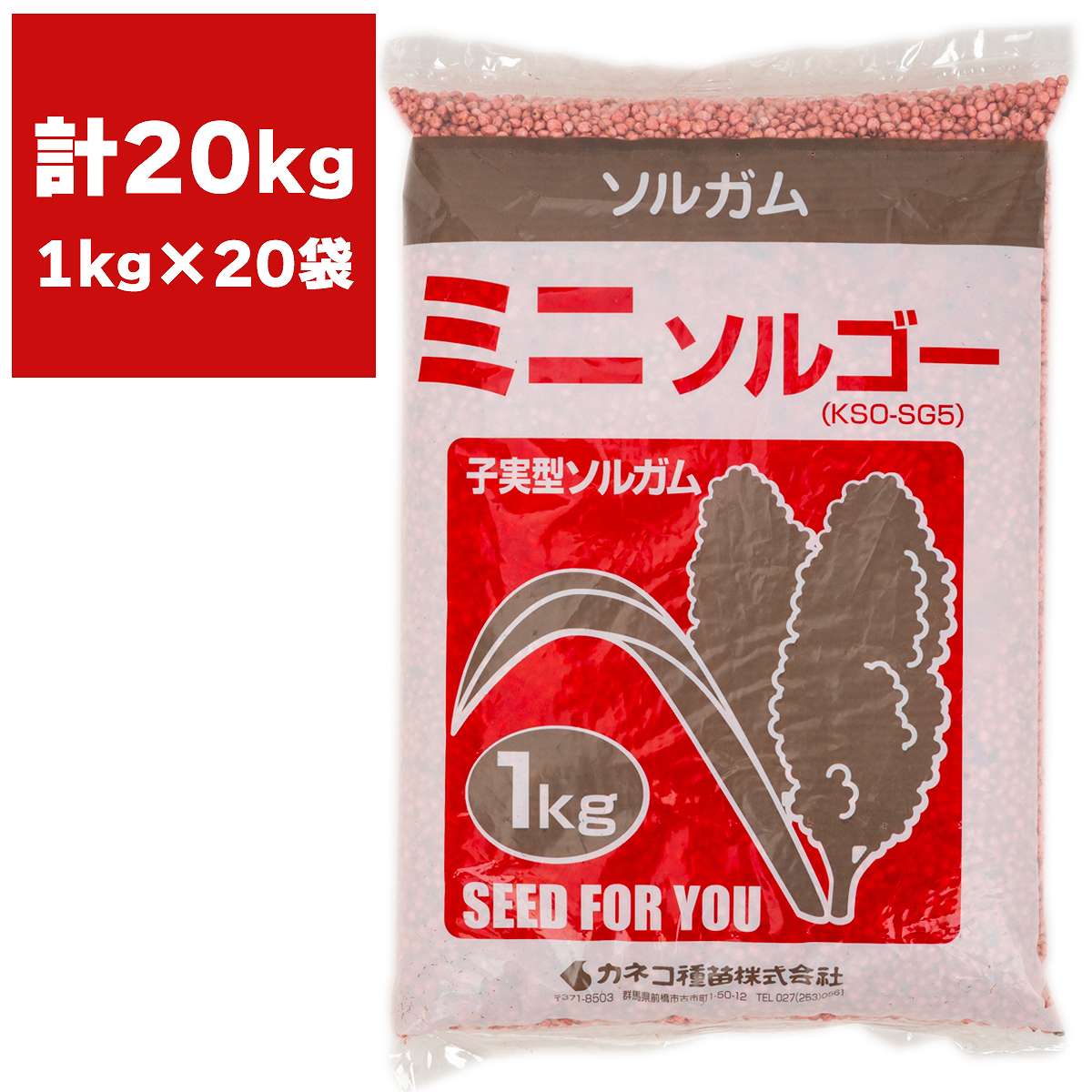ソルガム ミニソルゴー 20kg (1kg×20袋) カネコ種苗 緑肥 種 緑肥 種子 ソルゴー 種 ソルゴー 種子 緑肥 業務用 種子 緑肥 業務用 種 ソルゴーの種