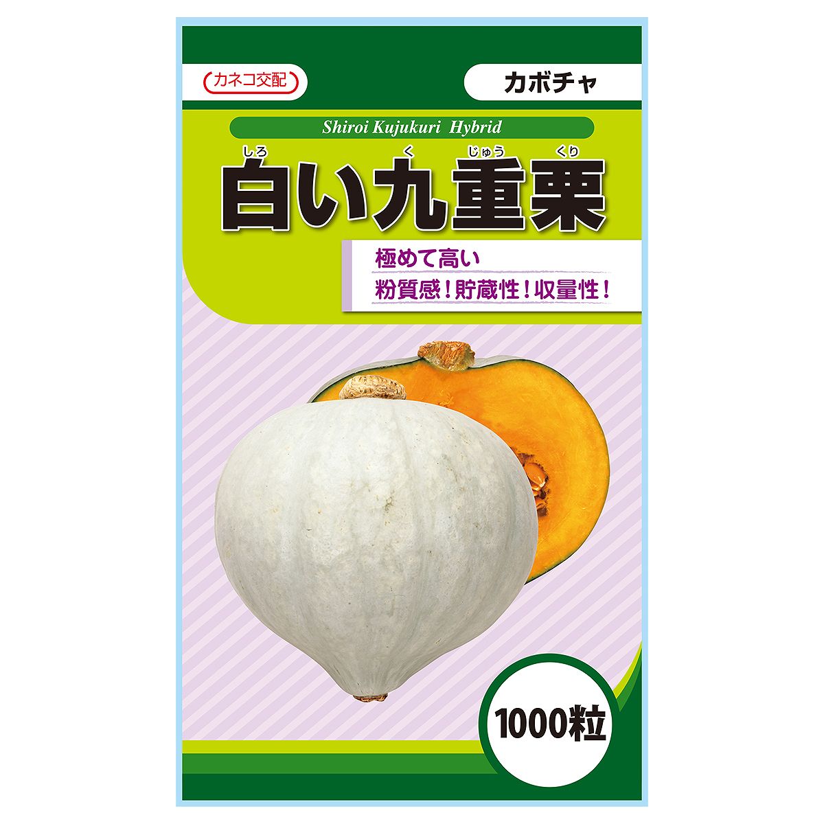 大容量 営利種 白い九重栗 カボチャ 1000粒 カネコ交配 カネコ種苗 野菜種子 カボチャ種子 野菜種 種子 野菜 種 野菜 種子 野菜の種 カボチャ 種 カボチャ 種子 21,232円
