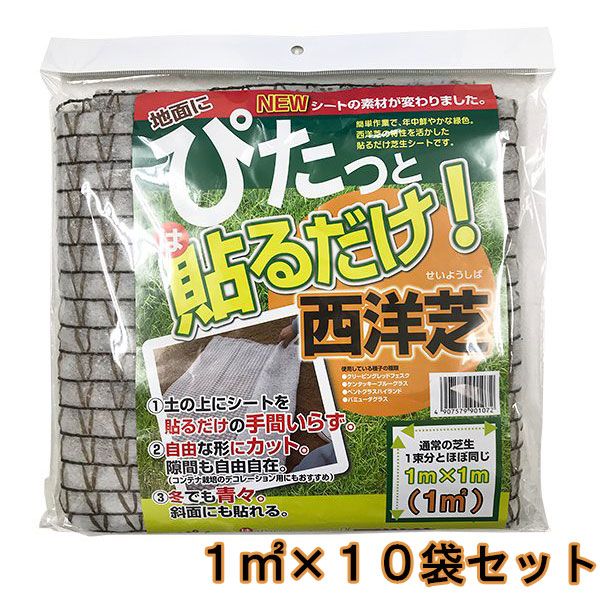 ぴたっと貼るだけ西洋芝 10袋 気取らない適用業務科学の科目 西洋芝 種 西洋芝 内果皮 芝 種 芝地 種 芝の種 芝地の種 西洋芝の種 洋芝の種 芝地居敷き 飾り気のない進め方 芝種 芝内果皮
