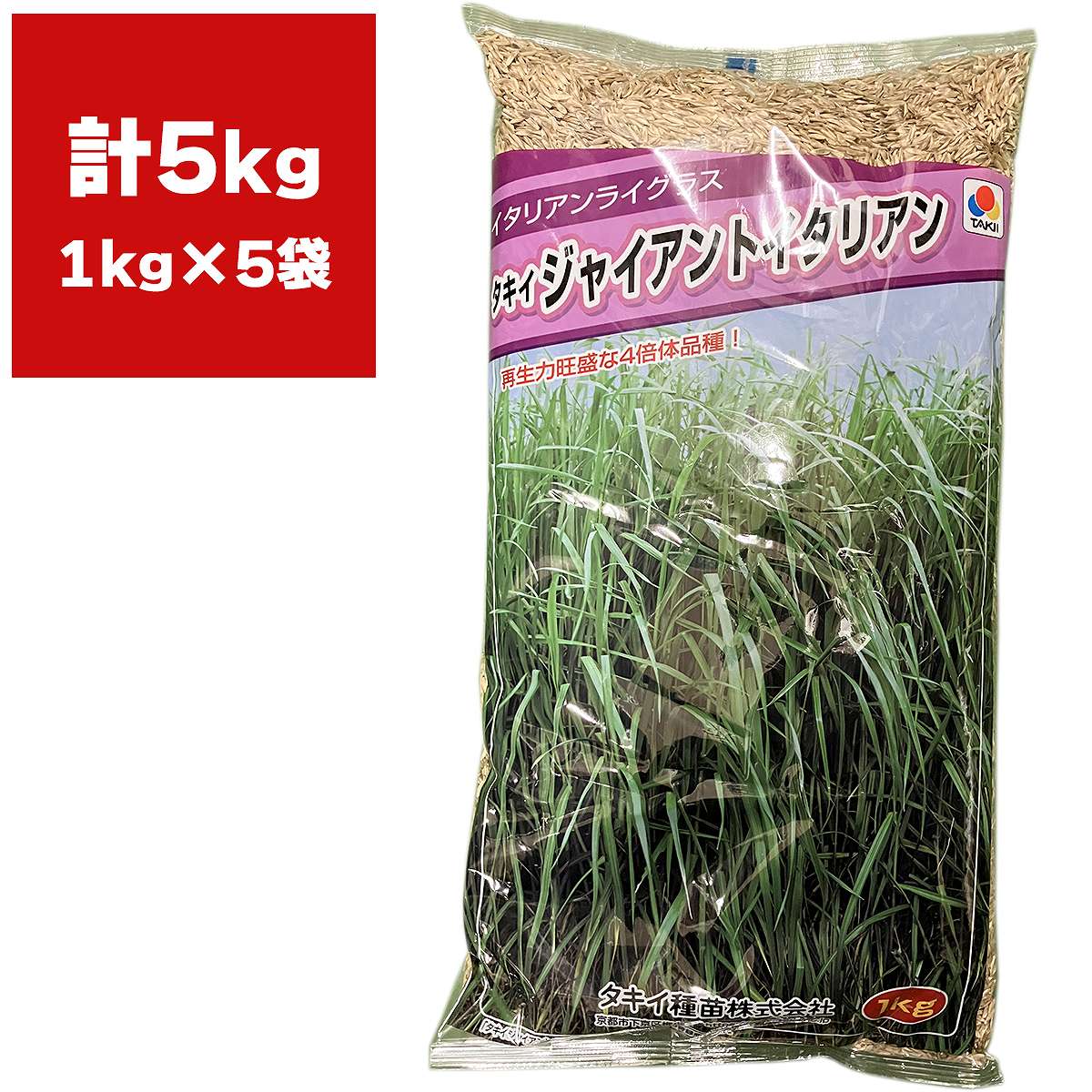 芝種 タキイジャイアント 5kg (1kg×5袋) タキイ種苗 芝生の種 芝の種 芝 種 芝 種子 芝生 種 芝生 種子 牧草 種 牧草 種子 芝生 業務用 種子 芝 業務用 種