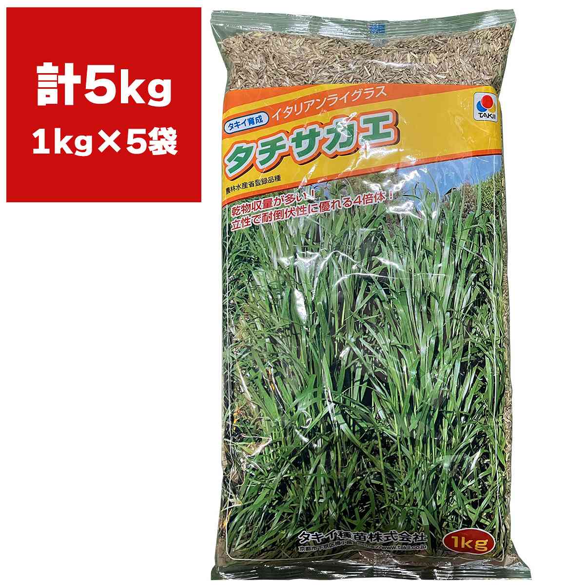イタリアンライグラス タチサカエ 4倍体 5kg (1kg×5袋) タキイ種苗 緑肥 種子 緑肥 種 牧草 種子 牧草 種 中生 イタリアンライグラス 種子 緑肥の種子