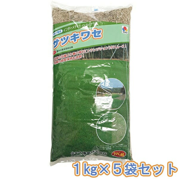 インターメディエイトライグラス サツキワセ 5kg(1kg×5袋) タキイ種苗 芝 種 芝 種子 芝種 芝の種 芝生 種 芝生 種子 芝生の種 芝草 種 芝草 種子