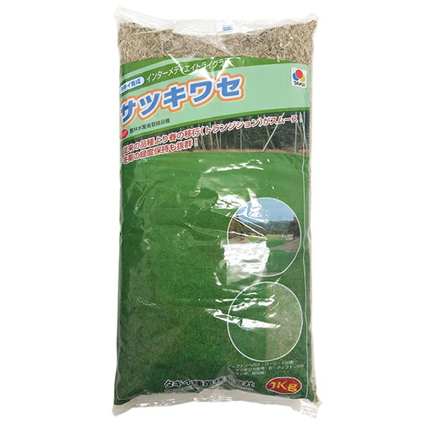 インターメディエイトライグラス サツキワセ 20kg(1kg×20袋) タキイ種苗 芝 種 芝 種子 芝種 芝の種 芝生 種 芝生 種子 芝生の種 芝草 種 芝草 種子|イーワイズ
