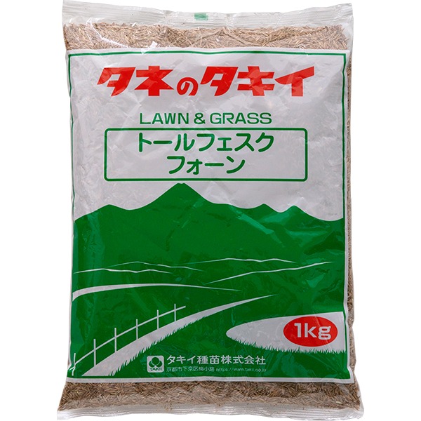 トールフェスク フォーン BFE501 20kg(1kg×20袋) タキイ種苗 芝種 芝 種 芝 種子 芝生 種 芝生 種子 芝の種 芝生の種 芝種 業務用 芝生 種子 業務用 牧草 種子|イーワイズ