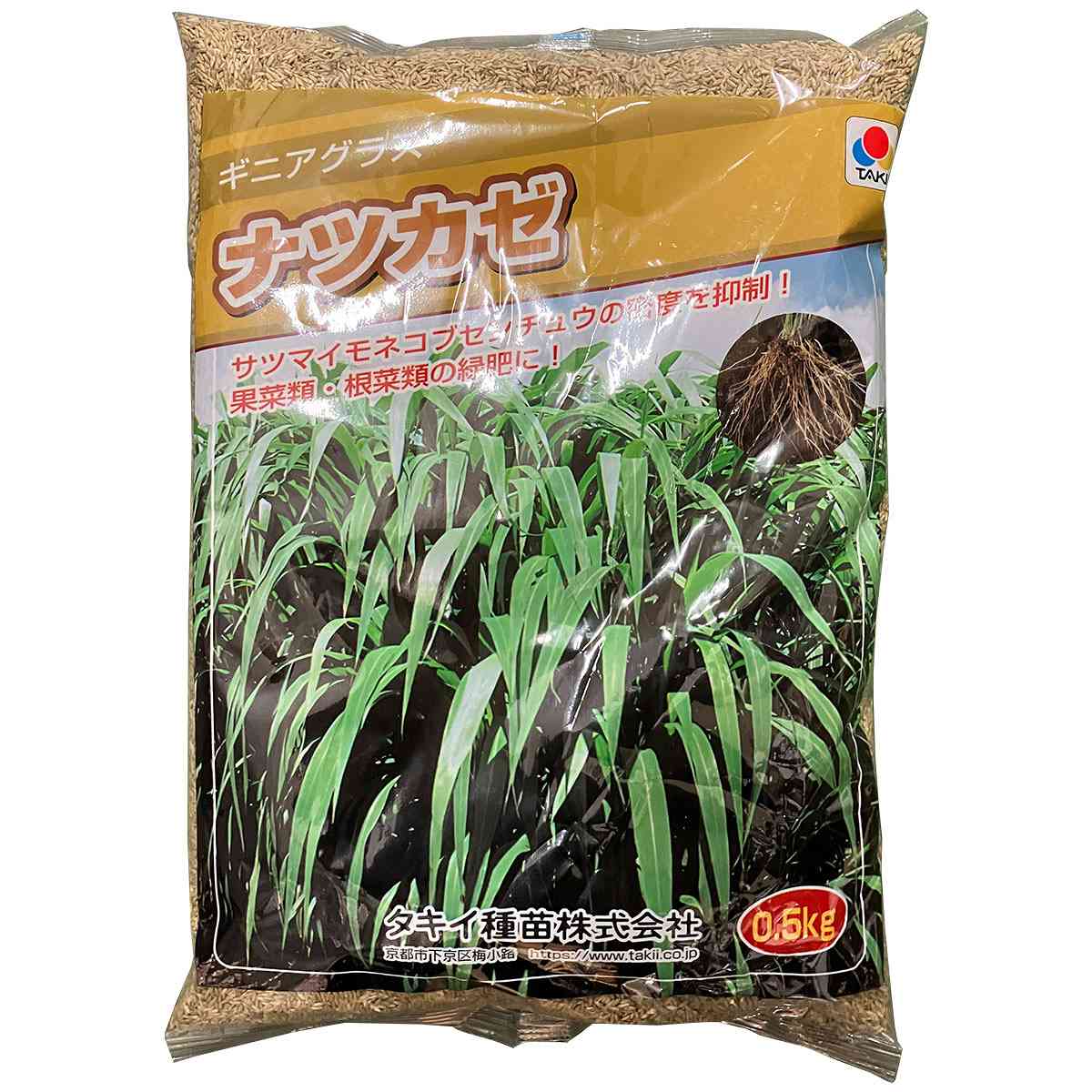 ギニアグラス ナツカゼ 0.5kg タキイ種苗 緑肥 種子 牧草 種子 センチュウ 密度抑制 早生 緑肥 種子 緑肥の種 緑肥の種子 緑肥作物 種子