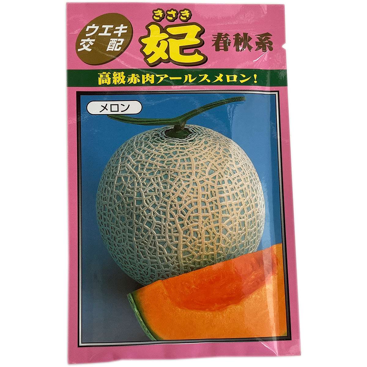 メロン 千葉県産 アクアメロン Lサイズ1個入り【お届け期間:7/3(木)〜8