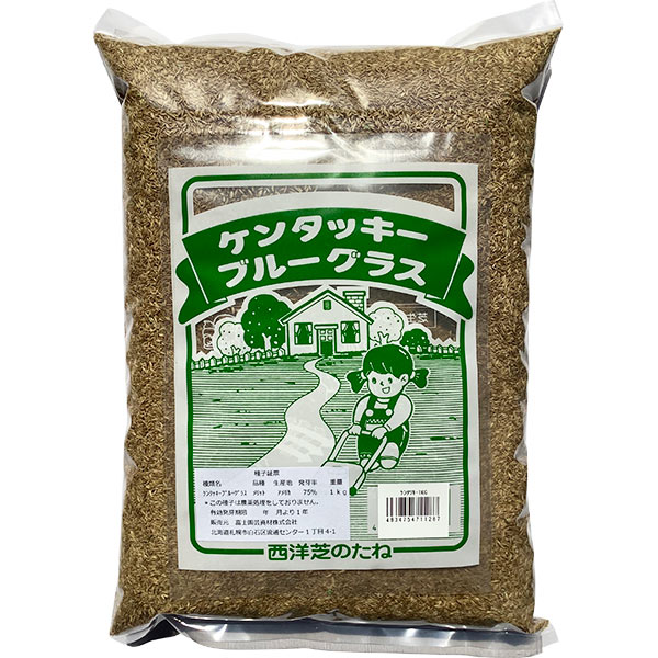 西洋芝の種 ブルーグラスの州ブルーグラス 1kg×5袋 種 芝 種 芝地 種 西洋芝 種 内果皮 芝 内果皮 芝地 内果皮 西洋芝 内果皮 芝の種 芝地の種 西洋芝の種 洋芝 内果皮