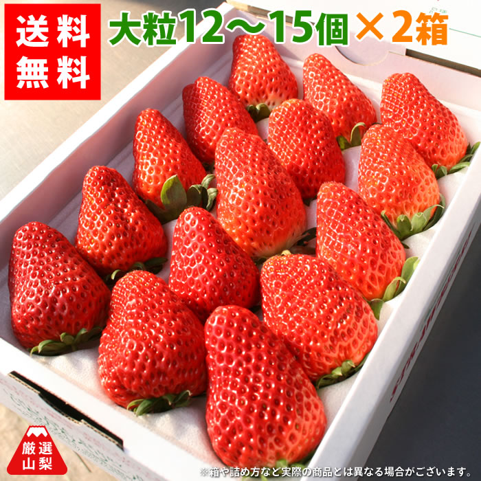 楽天市場 送料無料 いちご 山梨県産 農家直送 大粒いちご 12 15個入り 2箱 合計24 30粒 いちごのお取寄せ あきひめ 紅ほっぺ など 厳選山梨ドリームショップ