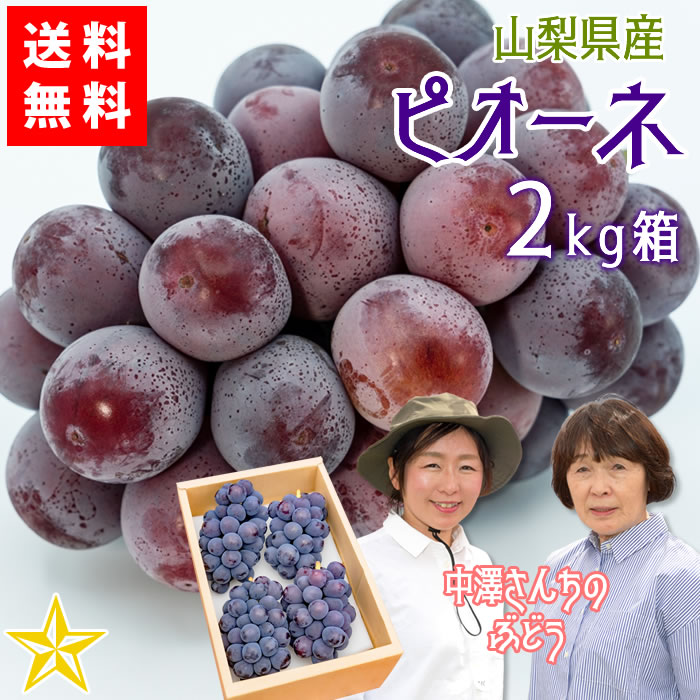 デラウェア　４kg 楽天市場】【送料無料】デラウェア 4kg箱 山梨県産 ぶどう