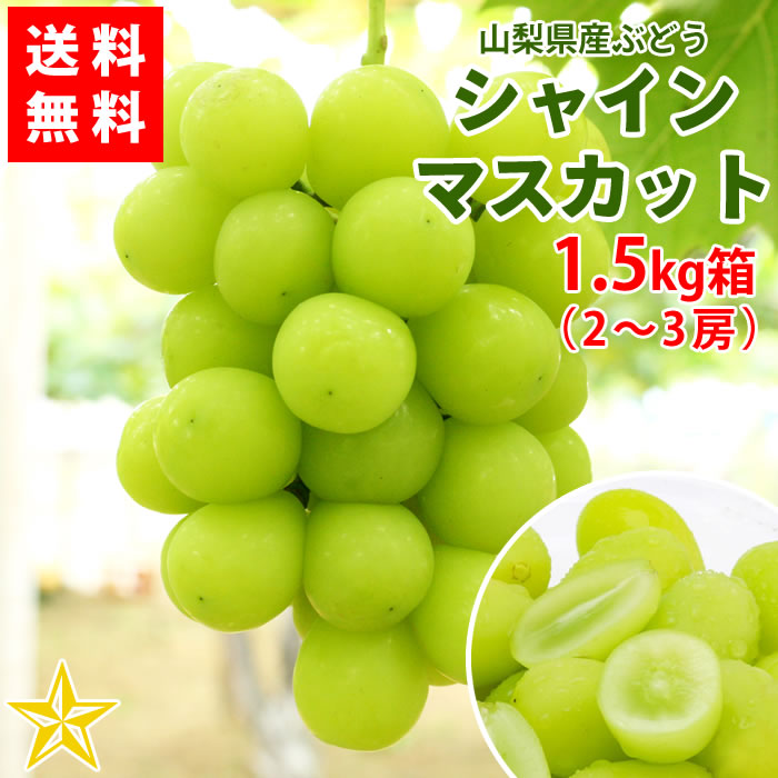 ゆうひ･おおぞら3542 シャインマスカット約2kg4房×2箱 シャインマスカット 2kg発送箱入り【家庭用】 (4-5房)｜植原