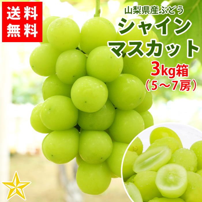 山梨県産シャインマスカット　4パック入り箱込み約1.9kg 楽天市場】【予約販売】シャインマスカット 宝石箱 ぶどう 山梨