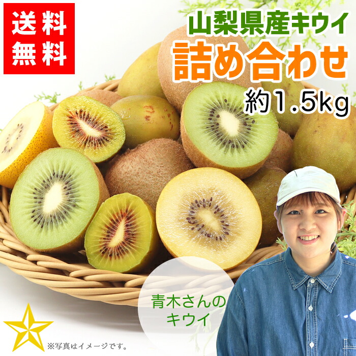 楽天市場】【送料無料】広島県産 くわい（クワイ・慈姑） 秀品 M