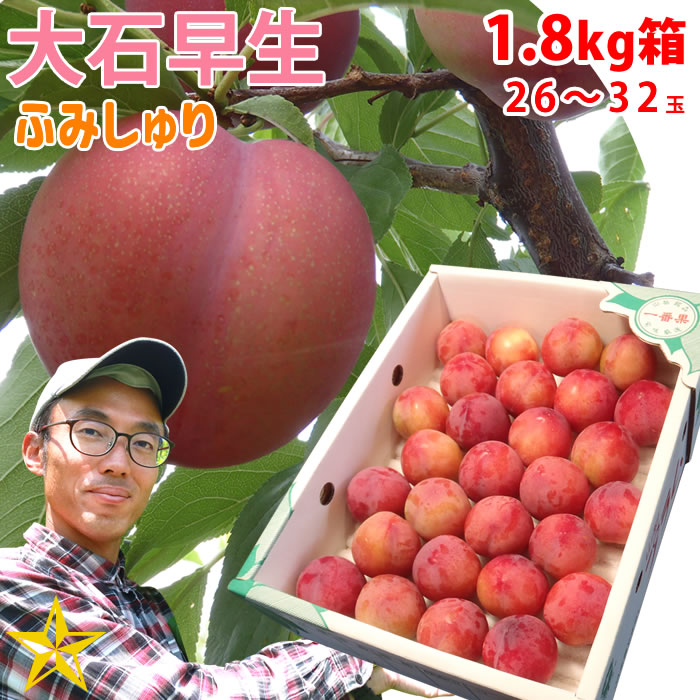 送料無料 すもも 大石早生 1.8kg (約26～32玉) 山梨県 八代産 農家直送 ふみしゅり