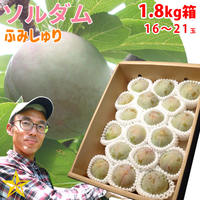 送料無料 すもも ソルダム 1.8kg箱 (約16～21玉) 山梨県 八代産 農家直送 ふみしゅり