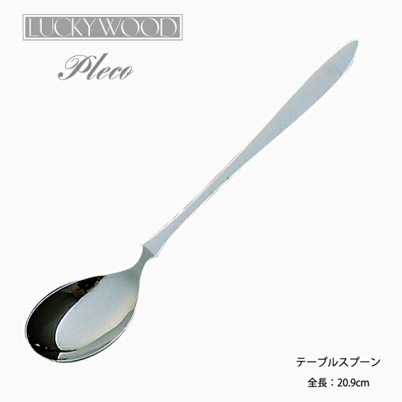 Pinti スプーン 18/10 ステンレス イタリア製36本 Pinti スプーン 18