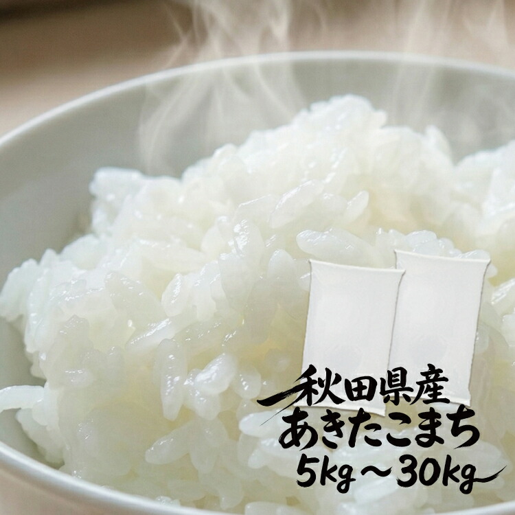米 10kg 秋田県産 あきたこまち 5kg 10kg 20kg 30kg 白米 令和7年産 送料無料 単一原料米 産地直送 お米 10キロ 秋田こまち 精米 ごはん おにぎり お弁当 家庭用 まとめ買い 常備米 毎日のごはん 国産米 【米】2079 4111 8107 12108｜イーザッコク米