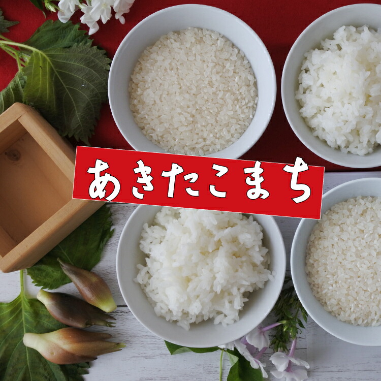 楽天市場】【精米】埼玉産 彩のきずな令和7年産 2kg※北海道・九州400円