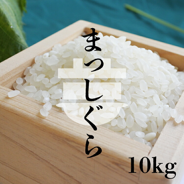 送料込み　山形県産　コシヒカリ10キロ　大豆5キロ　セット 送料無料 精米】山形県庄内産 コシヒカリ 10kg(5キロ×2袋) 庄内