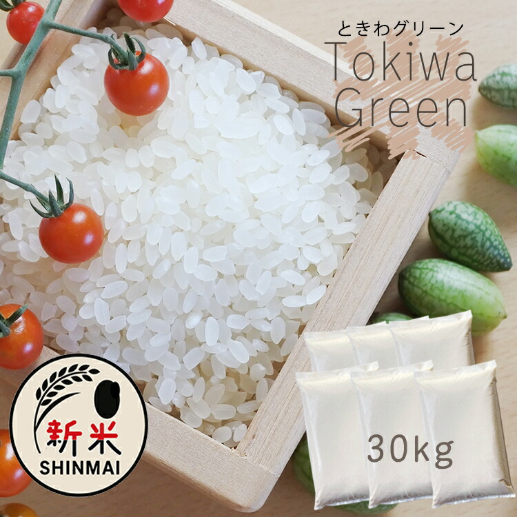 令和6年度　秋田こまちち　米30キロ　一袋　精米済み 秋田県産 あきたこまち 30kg（5kg×6袋） 精白米 令和6年産 米 お