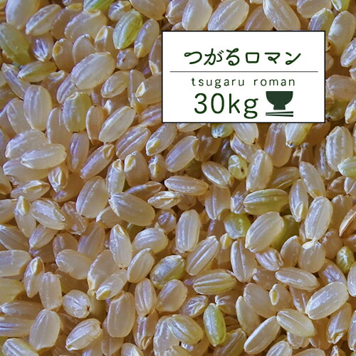 ☆ 令和3年 青森県産 つがるロマン 玄米〈30kg〉 minnade-ganbaro.jp