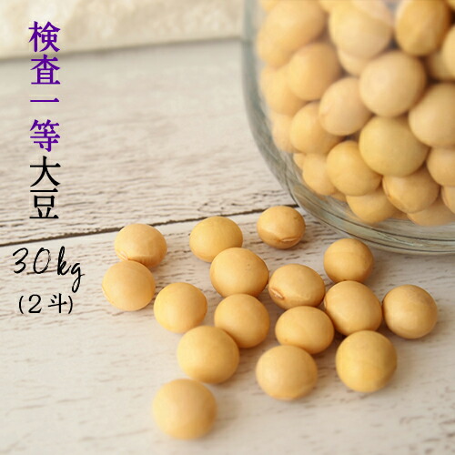 大豆 30kg 青森県産 6年産 おおすず検査一等大豆(大粒)  30kg（2斗）国産【大豆30kg】
