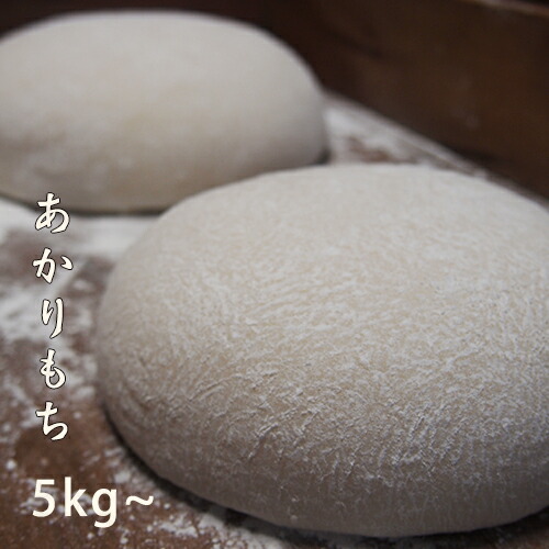 楽天市場】ポイント10倍☆エントリー必須！【令和7年度産】田口さん