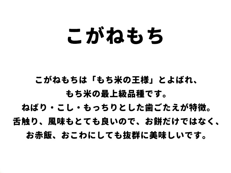 市場 米 糯米 こがねもち 餅 もち米 3年産 秋田県産