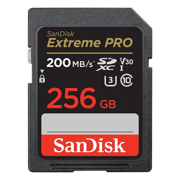【25日は24時間限定クーポン配布】SANDISK サンディスクSDXCカード 256GB UHS-I U3 Class10 SDSDXXD-256G-GN4IN(2548873)送料無料|KLAXON