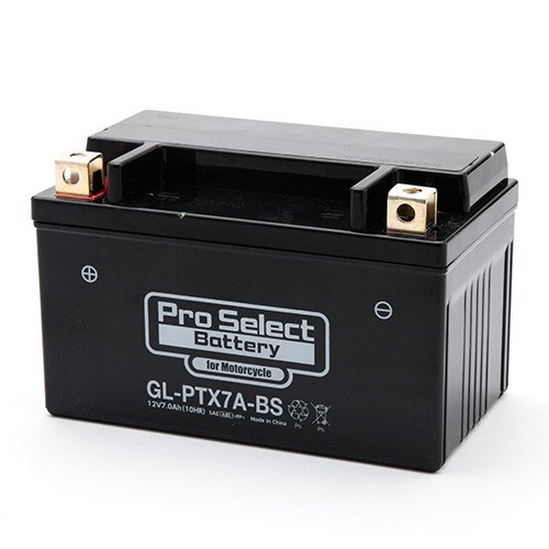 【10日は24時間限定クーポン配布】ProSelect（プロセレクト） GL-PTX7A-BS PSB105 (2385378) 送料無料