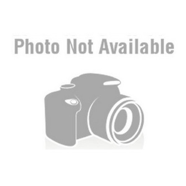 【10日は24時間限定クーポン配布】DAYTONA デイトナ ドライブレコーダー M777D 補修品 リアカメラ 約0.2m マウント付き D17097 (2502217) 代引不可 送料無料
