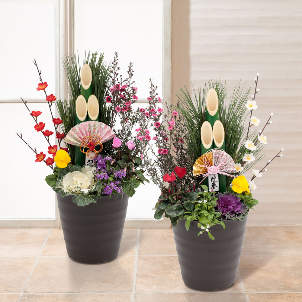 楽天市場 お正月 寄せ植え モダン門松 新春 一対用2個セット ギフト プレゼント お正月 正月飾り 新年 飾り 花 贈り物 予約 フラワーギフト 21 お祝い 花鉢 鉢花 玄関 イイハナ ドットコム