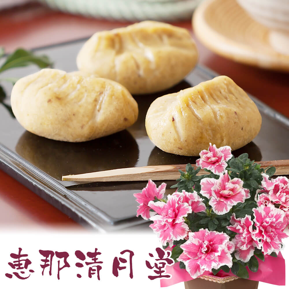 【楽天市場】【まだ間に合う！敬老の日当日までのお届け】鉢植えセット「恵那清月堂 栗きんとん」 花 和菓子 プレゼント ギフト